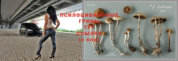 герыч Арсеньев
