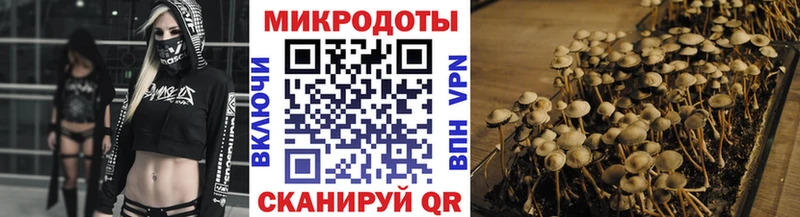 Галлюциногенные грибы Psilocybe  Певек 